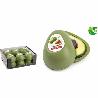 GUARDA AGUACATE 12566