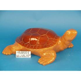 TORTUGA LOZA 66 CM 19/8551