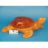 TORTUGA LOZA 66 CM 19/8551