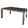 MESA RESINA 150X90CM WENGUE 4090/08