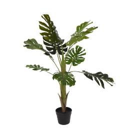 PLANTA ARTIFICIAL 65 CM COSTILLA ADAN