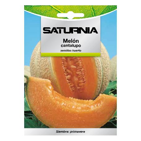 SEMILLAS MELON CANTALUPO (3 GRAMOS) SEMILLAS FRUTAS, HORTICULTURA, HORTICOLA, SEMILLAS HUERTO.