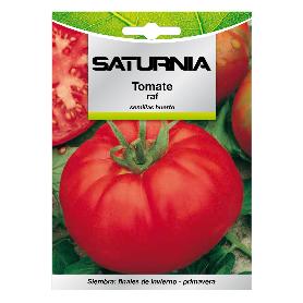 SEMILLAS TOMATE RAF (1.5 GRAMOS) SEMILLAS VERDURAS, HORTICULTURA, HORTICOLA, SEMILLAS HUERTO.