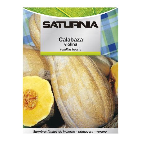 SEMILLAS HUERTO CALABAZA VIOLINA