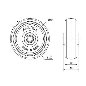 RUEDA PGZR100-12-40 NUCLEO POLIAMIX Y BANDA GOMA GRIS INYECT.RODILL.