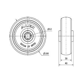 RUEDA PGZR100-12-40 POLIAMIX Y BANDA GOMA GRIS INYECT.(COJ.ROD.INOX)