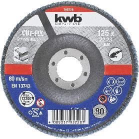 DISCS LAMINAS 125X22MM G80 49795728