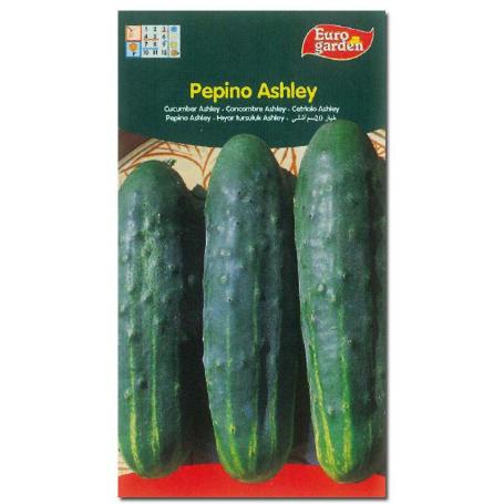 SEMILLAS FITO HORTICOLAS PEPINO ASHLEY 00234 (CAJA 10 UNIDADES)