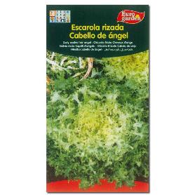 SEMILLAS FITO HORTICOLAS ESCAROLA CABELLO DE ANGEL 00109 (CAJA 10 UNIDADES)