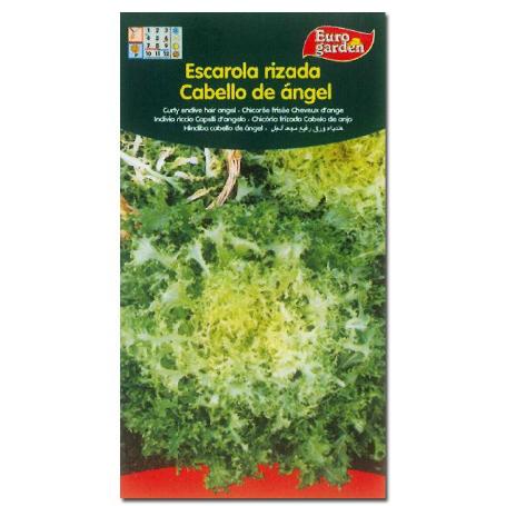 SEMILLAS FITO HORTICOLAS ESCAROLA CABELLO DE ANGEL 00109 (CAJA 10 UNIDADES)