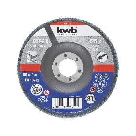 DISCS LAMINAS 125X22MM G80 49795728