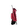 CARRO IMAX TERMO ZEN 4L BASSI