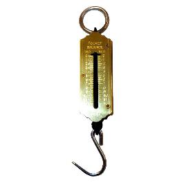 LAMS PESO DE GANCHO (DINAMOMETROS) DE 25,0 KG 813 (3060007)