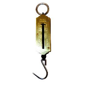 LAMS PESO DE GANCHO (DINAMOMETROS) DE 50,0 KG 813 (3060008)