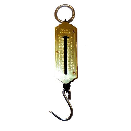 LAMS PESO DE GANCHO (DINAMOMETROS) DE 50,0 KG 813 (3060008)