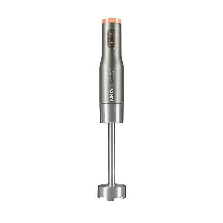 BATIDORA PIE SUPER VIP 800W INOXIDABLE