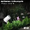 FOCO JARDIN CON PINCHO BLANCO GU10 IP65