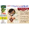 SEMILLAS FINSTOCK  FITO 5 DISCO DE 8 CM SEMBRAR ALBAHACA   09419