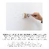ANTIMOHO PARED ADITIVO PARA PINTURA 250 ML