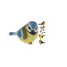 PAJARO RESINA MEDIANO 17X8CM SURTIDO