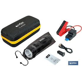 JUEGO DE ALFOMBRILLAS DE PVC PARA AUTOMÓVIL 4 UDS.