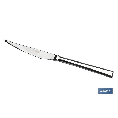 BL 2UDS CUCHILLO DE CARNE INOX C-18/10 MODELO BARI 2,5MM