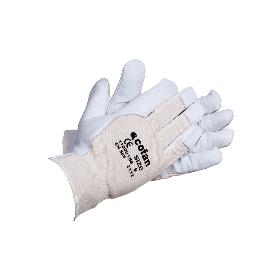 BLISTER G. PIEL V .DORSO DESCUB. T-8   CAJA 12 UNID.