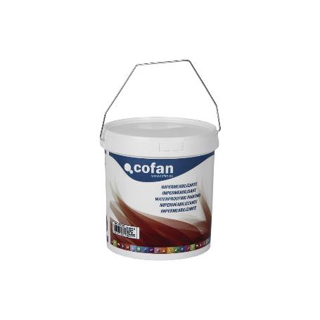 IMPERMEABILIZANTE TRANSPARENTE (12 LT)