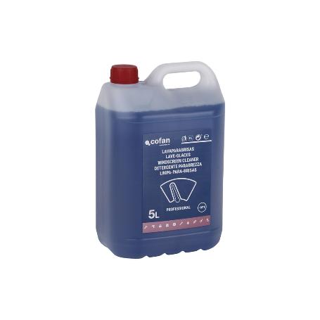 LAVAPARABRISAS ANTICONGELANTE -10º 5 L