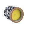 VELA AROMÁTICA DE CITRONELA MACETA DECORADA  170 G   CAJA 6 UNID.