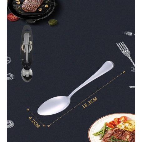 MIJAS CUCHARA POSTRE  18,3X4,2 CMS K12G3