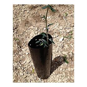 PROTECTOR ARBOLES 60X20 CM G900