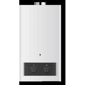 CALENTADOR ATMOSF. APOLO 10 L BAJO NOX BUT DAVA