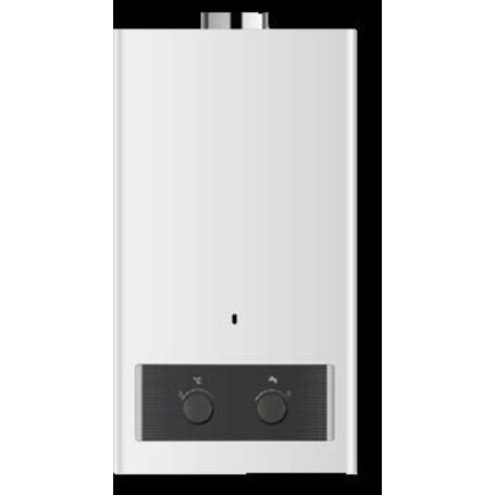 CALENTADOR ATMOSF. APOLO 10 L BAJO NOX BUT DAVA