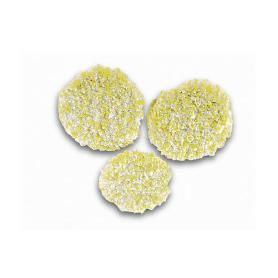 CEPILLO ESPONJA SUELOS DUROS 2863198 KARCHER