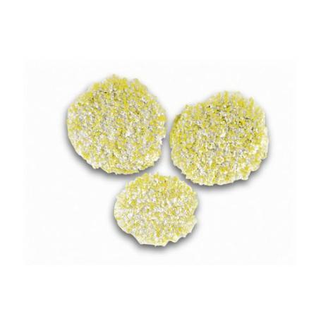 CEPILLO ESPONJA SUELOS DUROS 2863198 KARCHER