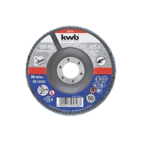 DISCS LAMINAS 125X22MM G80 49795728