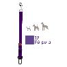 ARPPE CORREA PERRO NYLON AUTOMOVIL PUR 2236010017