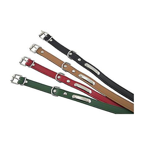 COLLAR PERRO LISO C/PLACA 50CM