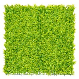 SETO JARDIN VERTICAL 1X1 MT HELECHO VERDE 2017258