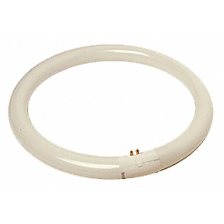 TUBO FLUOR.CIRCULAR 40W TRIFOSFORO