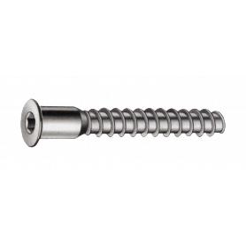 TORNILLO ENSAMBLAR 5X50 X100