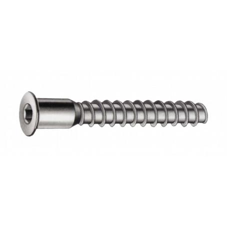 TORNILLO ENSAMBLAR 5X50 X100