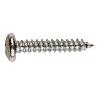 TORNILLO R.CHAPA 5.5X45   X100