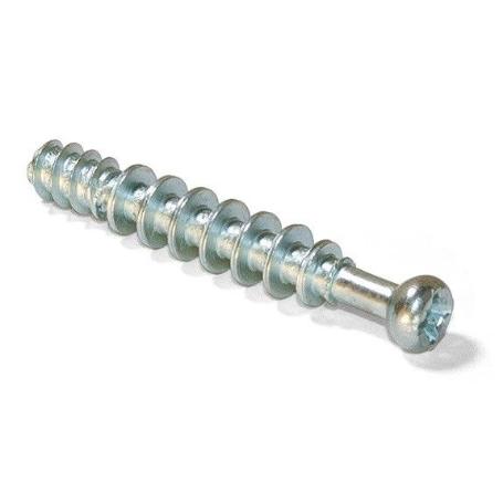 TORNILLO PARA EXCENTRICA 25 UDS