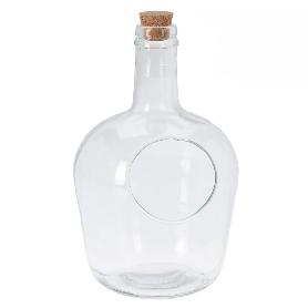 TERRARIO DAMAJUANA 4 LITROS