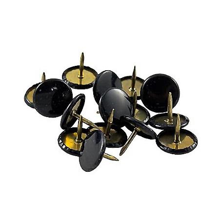 CHINCHETAS NEGRAS N.5 PLASTIFICADAS