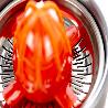 EXPRIMIDOR CONTINUO 2 CONOS 300W