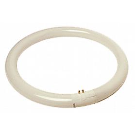 TUBO FLUOR.CIRCULAR 22W TRIFOSFORO