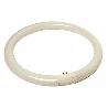 TUBO FLUOR.CIRCULAR 22W TRIFOSFORO